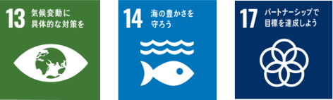 産業と技術革新の基盤をつくろう　海の豊かさを守ろう　パートナーシップで目標を達成しよう