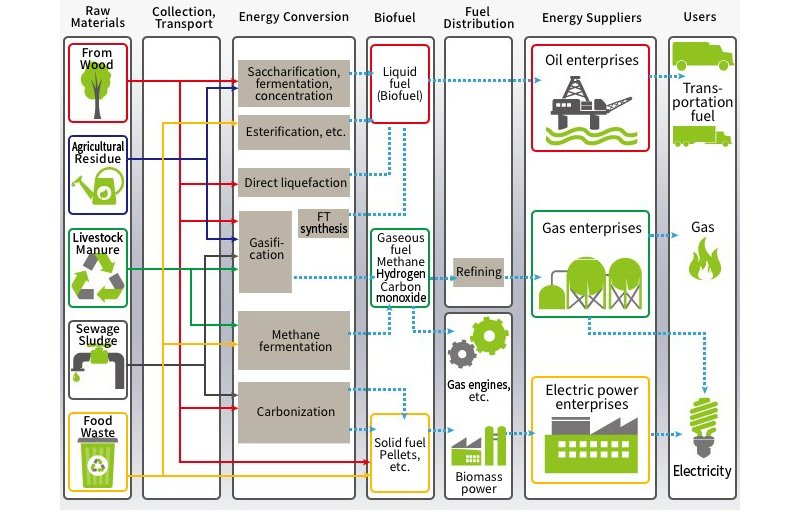 biomass_img_01.jpg